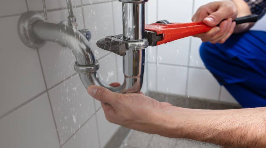 Leak Detection Services in Birdseye, IN